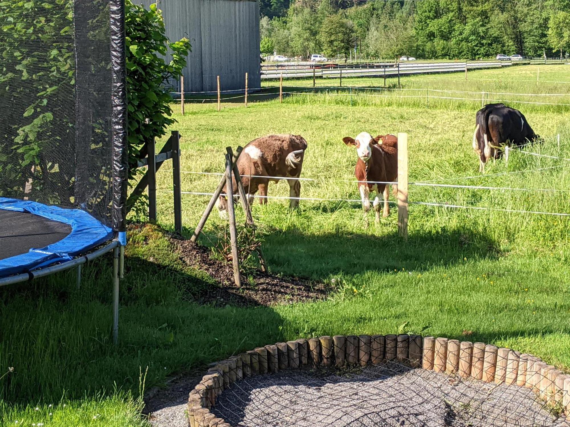 Ferienhaus Schwarzhans Schruns Eksteriør billede